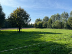 IMG_8513