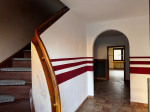 IMG_2010